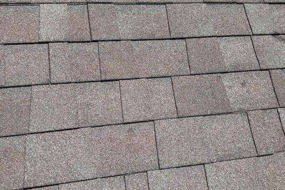 Shingle Roof