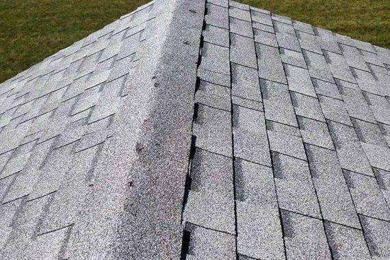 Shingle Roof